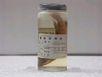 藏品(吉利慈鯛)的圖片